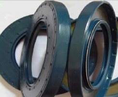 CFW骨架油封 骨架油封規(guī)格 耐磨耐油骨架密封件