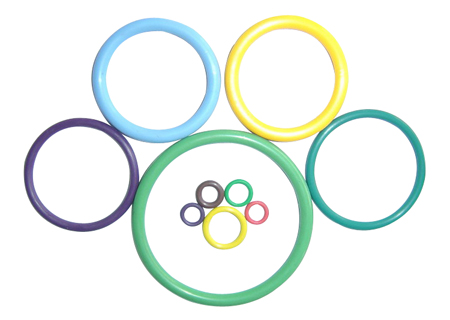 氟膠O型圈 氟膠o型圈 美國氟膠制品